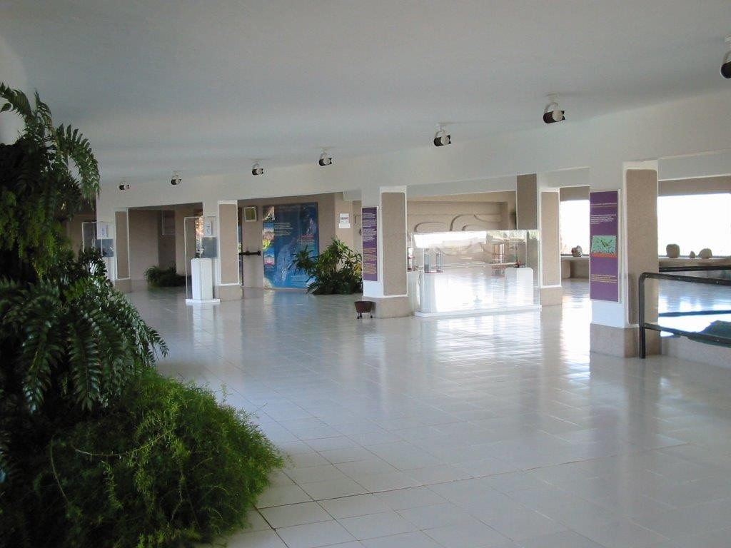 Casa Volcanes Lanzarote (8)